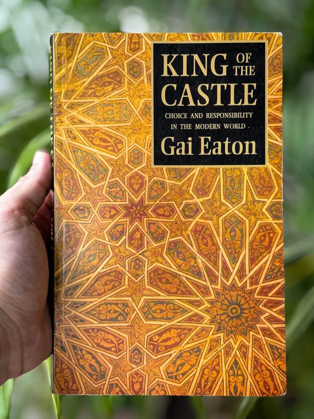 King of the Castle by Gai Eaton Book Review